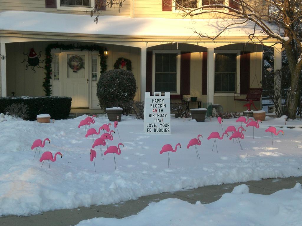 Birthday Yard Signs Naperville Birthday Yard SignsBirthday Yard Signs